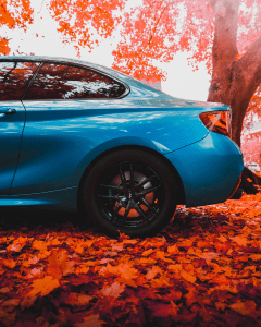2016 Blue BMW 2 series side view with backdrop of fall leaves