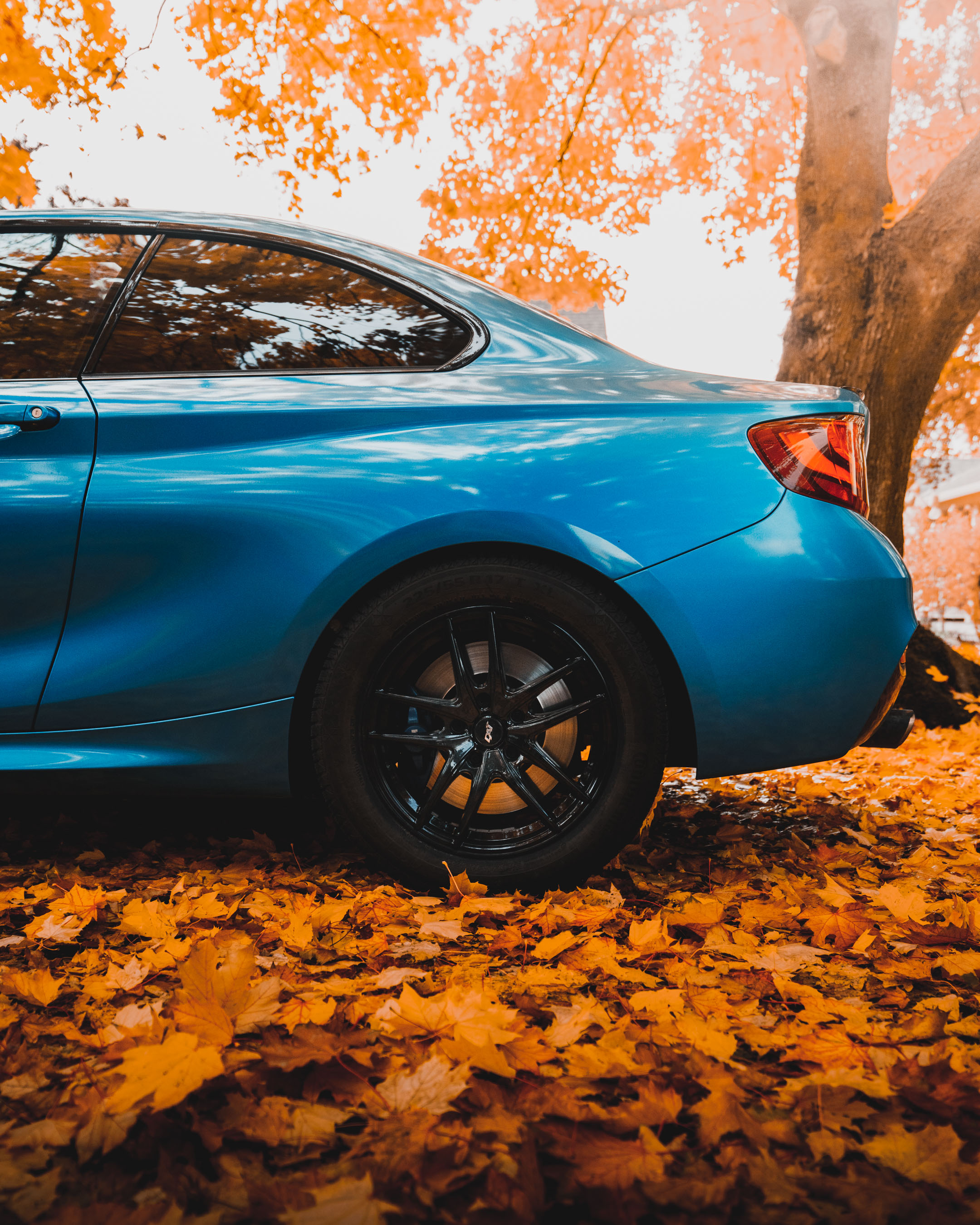 2016 Blue BMW 2 series side view with backdrop of fall leaves