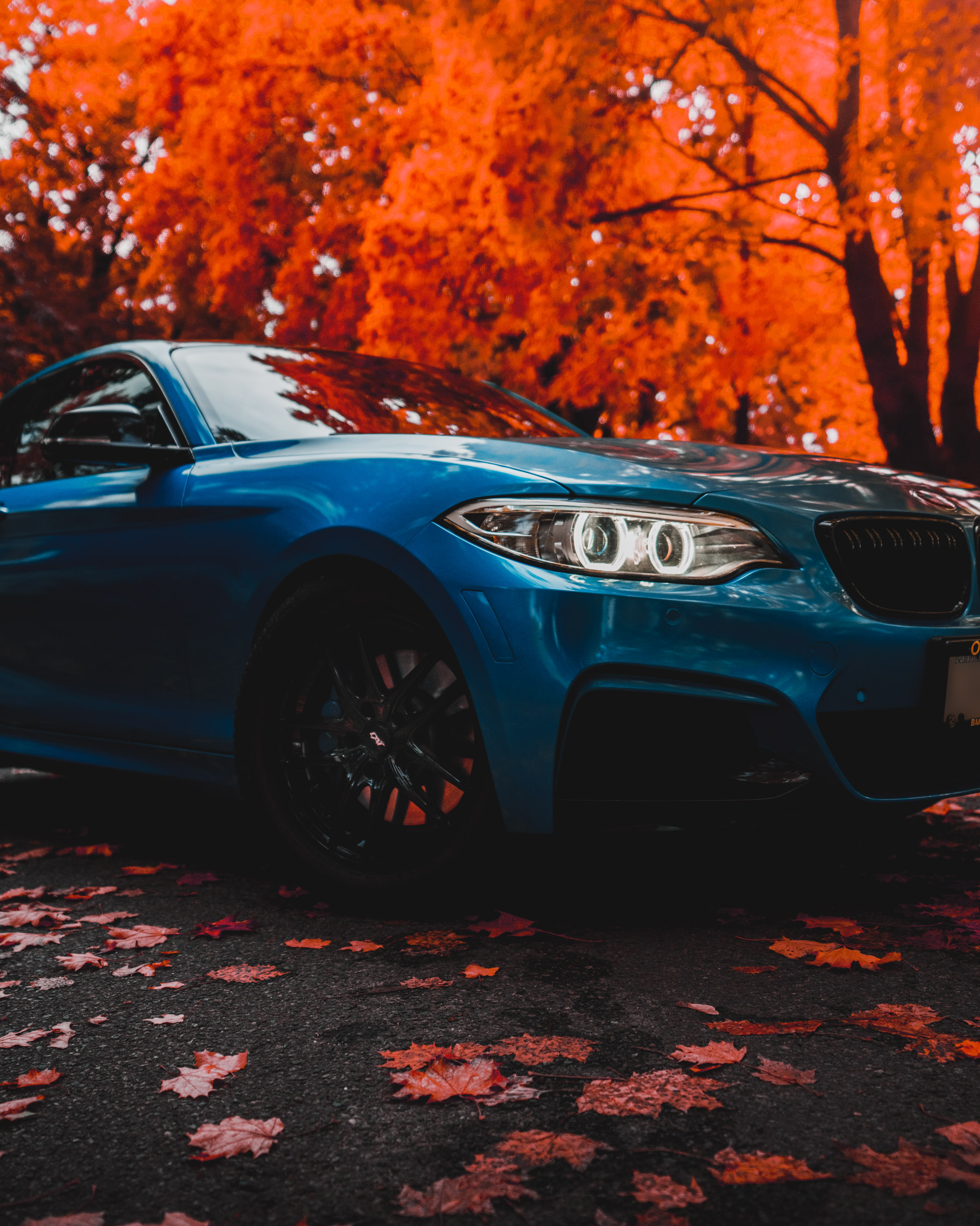 2016 Blue BMW 2 series upclose with the backdrop of Fall leaves
