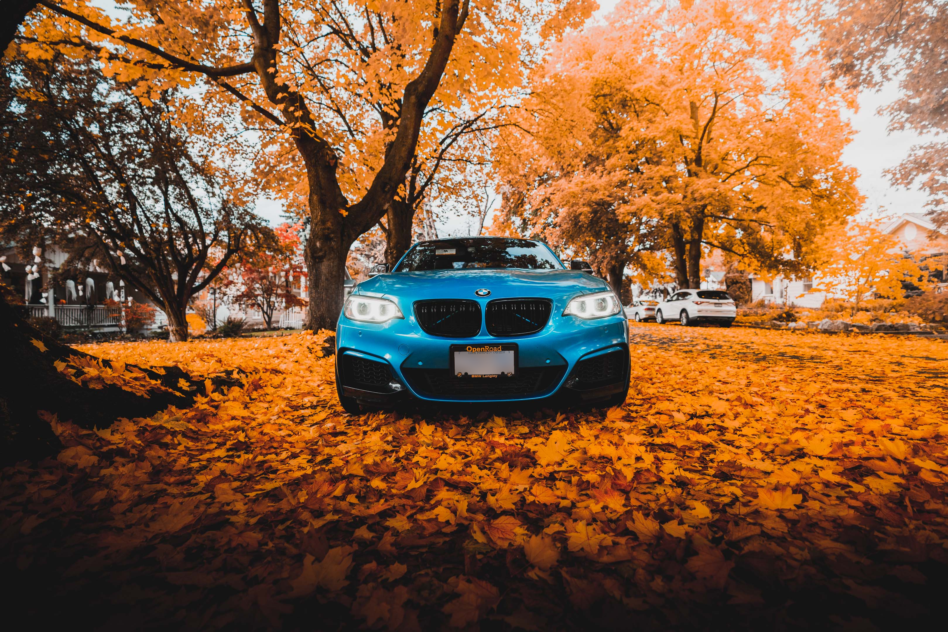 2016 Blue BMW 2 series upclose front with the backdrop of Fall leaves