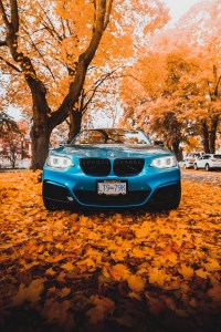 2016 Blue BMW 2 series upclose front with the backdrop of Fall leaves