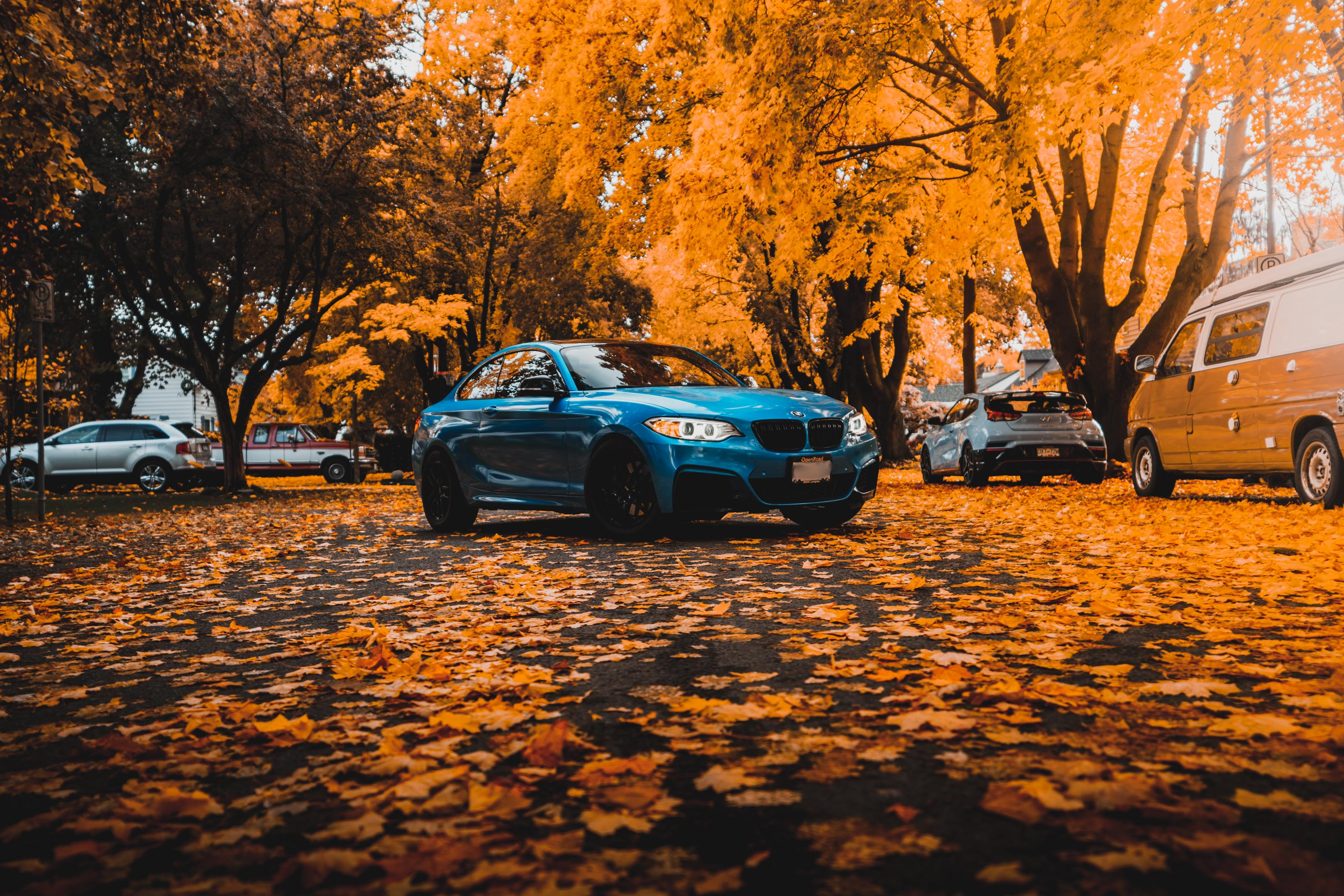 2016 Blue BMW 2 series side view with the backdrop of Fall leaves