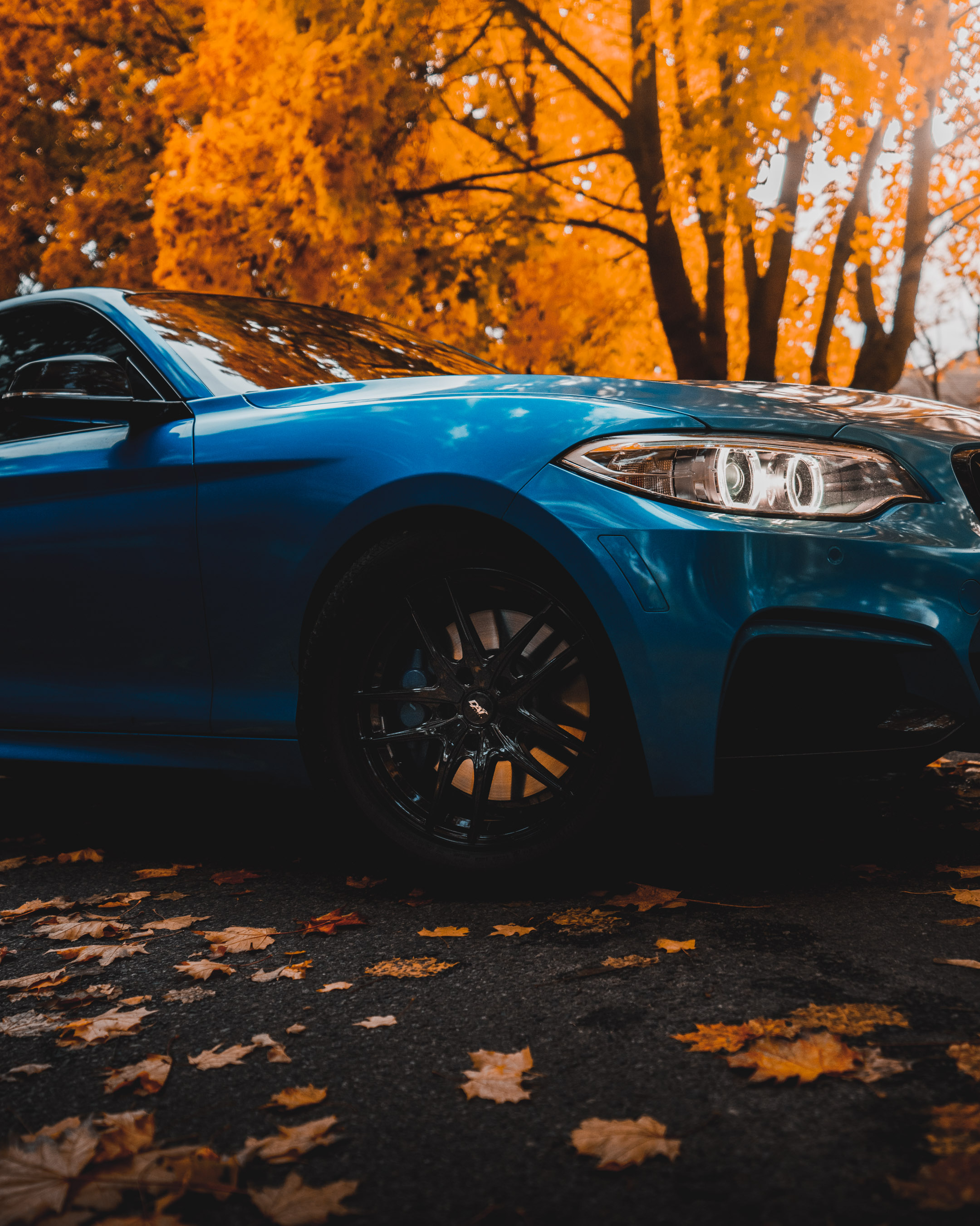 2016 Blue BMW 2 series upclose side view with the backdrop of Fall leaves